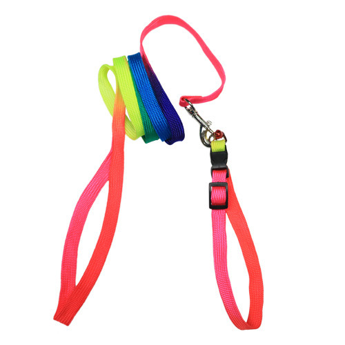 Rainbow Puppy Leash