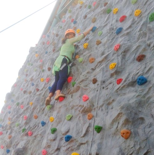 Fiber Climbing Wall, Size : 10 x 30 Ft