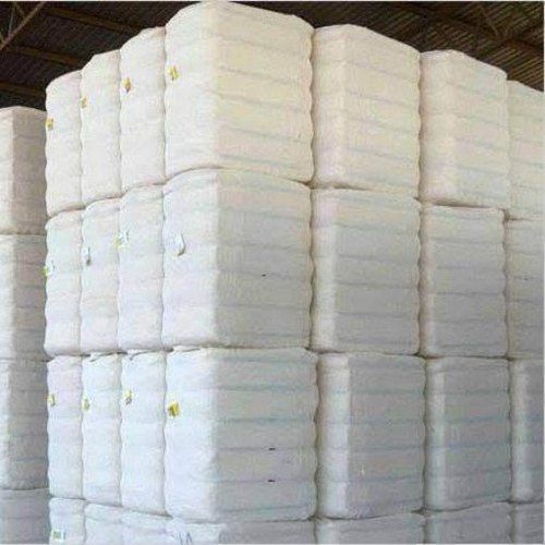 BCI Cotton Bales