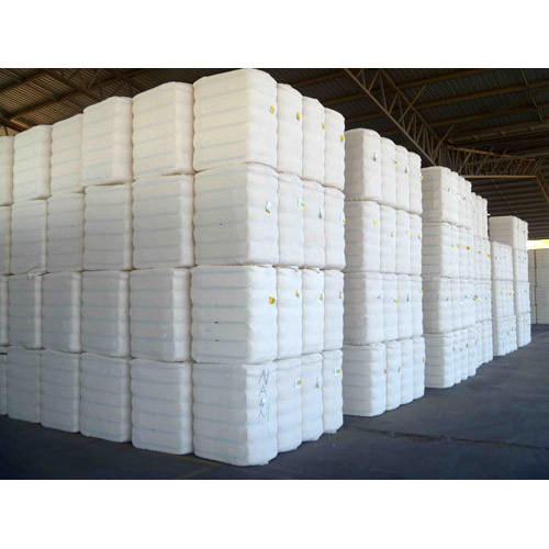 Plain Raw Cotton Bales, Color : White