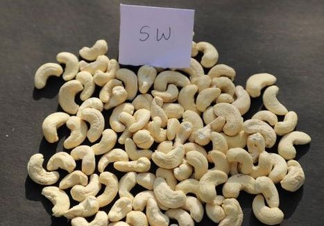 Organic SW Grade Cashew Nuts, Packaging Type : Tinned Can