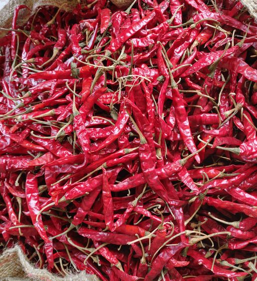 Teja Dried Red Chilli