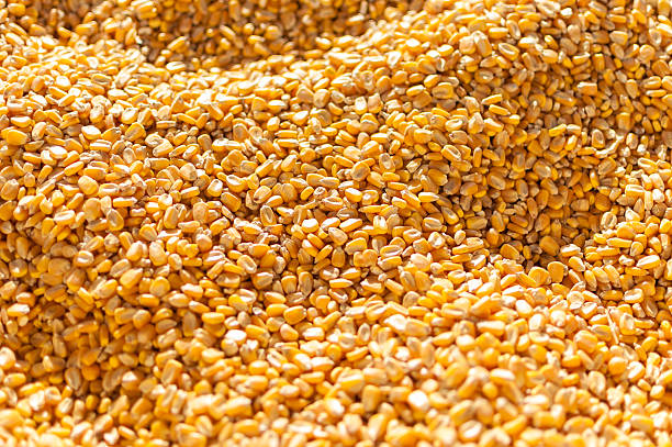 Maize Seeds Export Quality Variety Corn Gluten Meal At Best Price