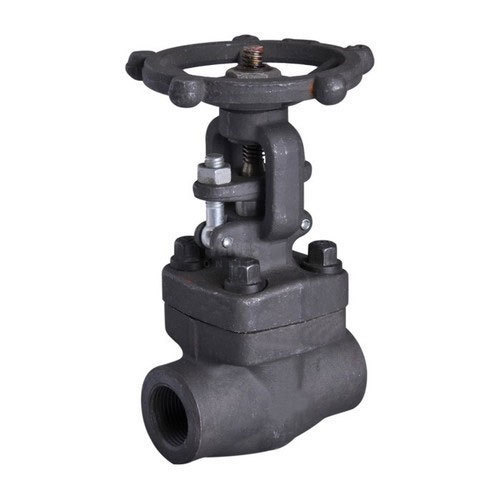 F304 Forged Steel Gate Valve, Size : 15 mm to 50 mm