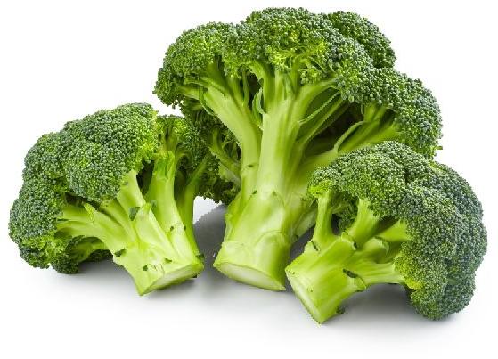 fresh broccoli