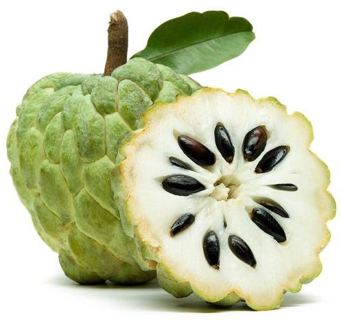 Natural fresh custard apple, Shelf Life : 10 Days