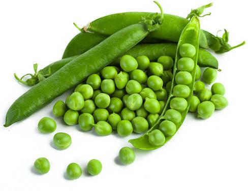 Natural Fresh Green Peas, for Human Consumption, Packaging Size : 20kg, 25kg