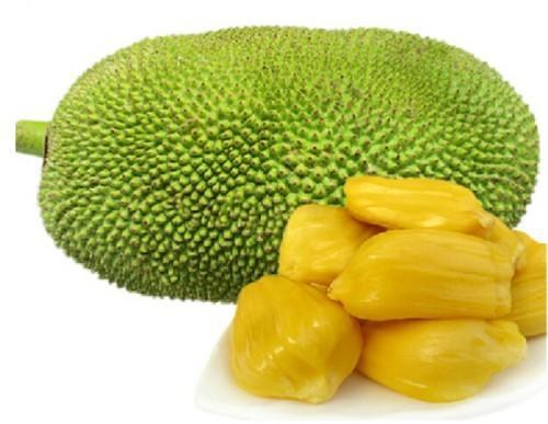 Natural Fresh Jackfruit, for Human Consumption, Packaging Type : Gunny Bag