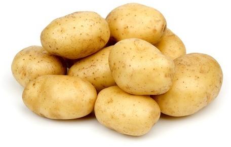 Natural fresh potato, for Human Consumption, Packaging Type : Jute Bag