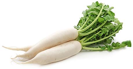 Fresh Radish, for Human Consumption, Feature : Healthy, Natural Taste