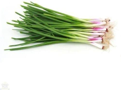Natural Fresh Spring Onion, for Human Consumption, Packaging Type : Jute Bags