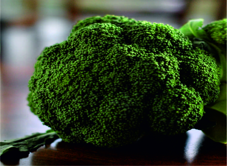 Seeways Organic F1 Bobby Broccoli Seeds, for Seedlings, Specialities : Good Quality