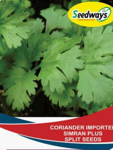 Imported Simran Plus Split Coriander Seeds, Packaging Type : Plastic Packet