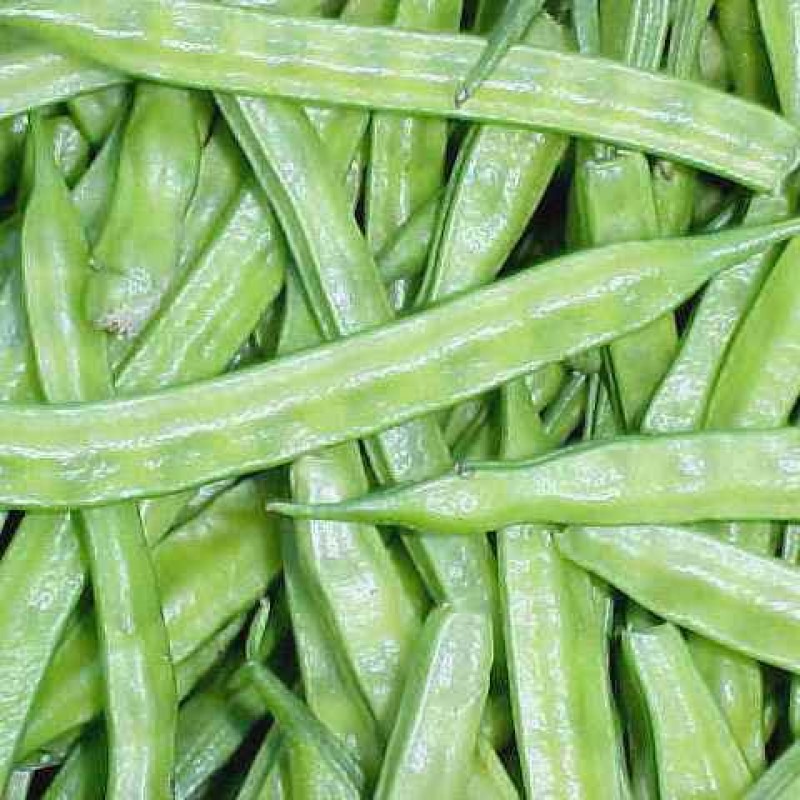 Research USA Cluster Beans Seeds, for Seedlings, Specialities : Long Shelf Life, Good Quality