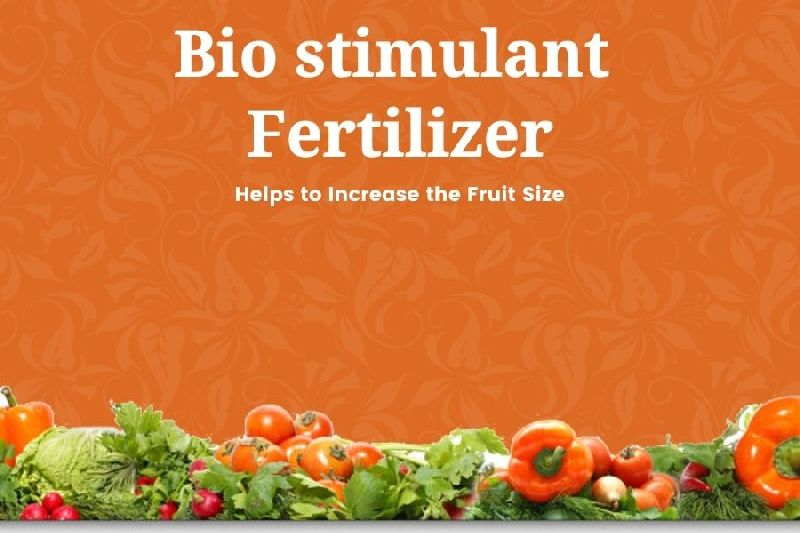 Bio Stimulant Fertilizer