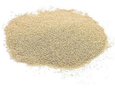 Dry Yeast Powder, Packaging Size : 25 Kg