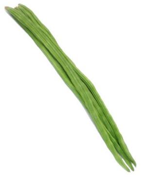 Organic Fresh Drumstick, Color : Green