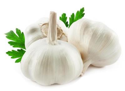 Organic fresh garlic, Packaging Type : Gunny Bags, Plastic Bags