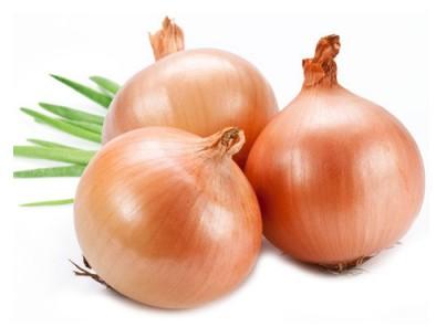 Fresh onion, Shelf Life : 15-30days