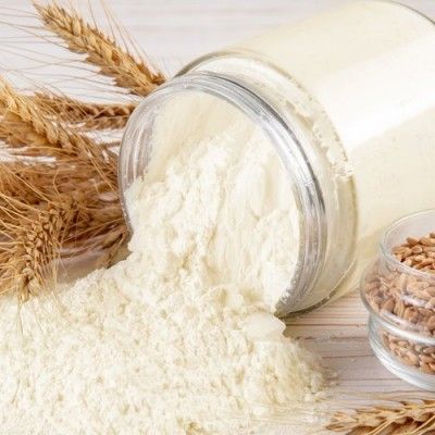 Gluten Wheat Powder