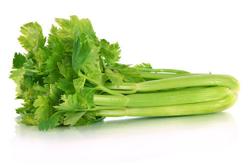 Celery Leaves, Packaging Type : Plastic Packet, Paper Box