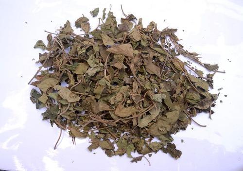 Natural Dried Gurmar Leaves, Color : Green