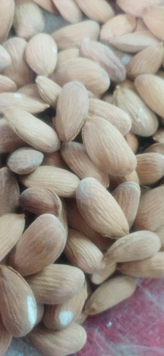 Kashmiri Mamra Almond Kernels