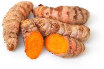 Natural Fresh Turmeric Roots, for Cosmetic Products, Herbal Products, Medicine, Packaging Type : Plastic Pouch