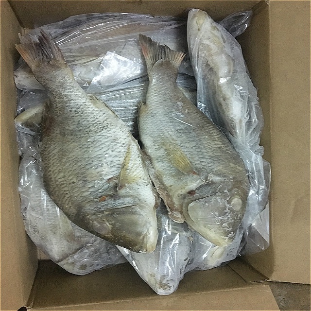 Semi-Soft Frozen Emperor Fish, Certification : FSSAI Certified