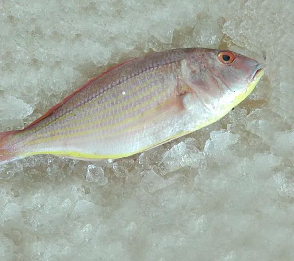 Semi-Soft Frozen Rani Fish, Shelf Life : 6 Months