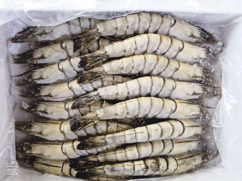 Frozen Tiger Prawns