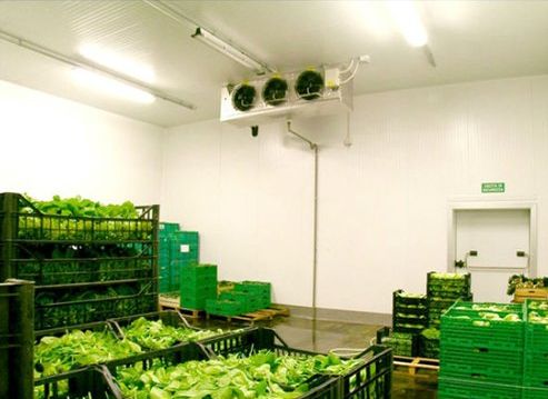 Automatic Vegetables Cold Storage Room, Voltage : 220V