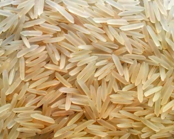1509 Golden Sella Basmati Rice, Packaging Size : 50-100 Kg