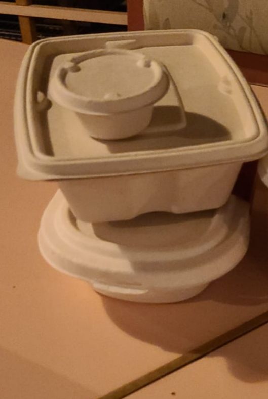 Plain Bagasse Food Container, Feature : Eco-Friendly, Light Weight, Non Breakable