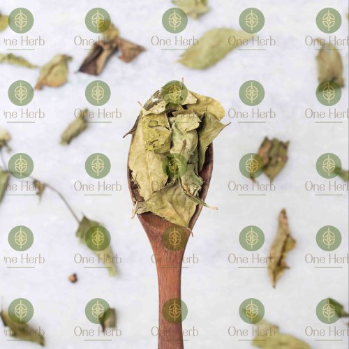 Curry Dried Leaves, Packaging Size : 1kg, 5kg, 10kg