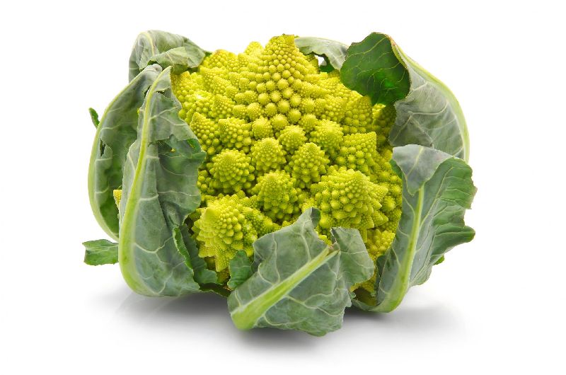 Organic Fresh Broccoli, for Cooking, Style : Natural