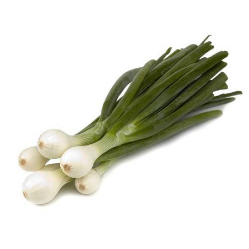 Round Organic Fresh Spring Onion, for Cooking, Style : Natural