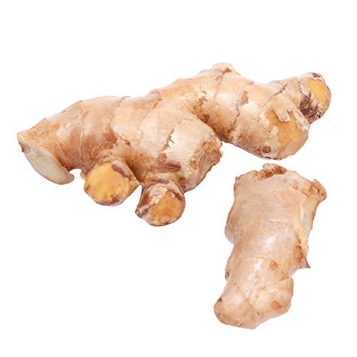 Organic Fresh Thai Ginger, for Cooking, Style : Natural