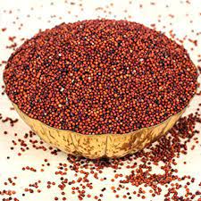 ragi millet