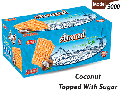 Model No 3000 Coconut Flavoured Biscuits