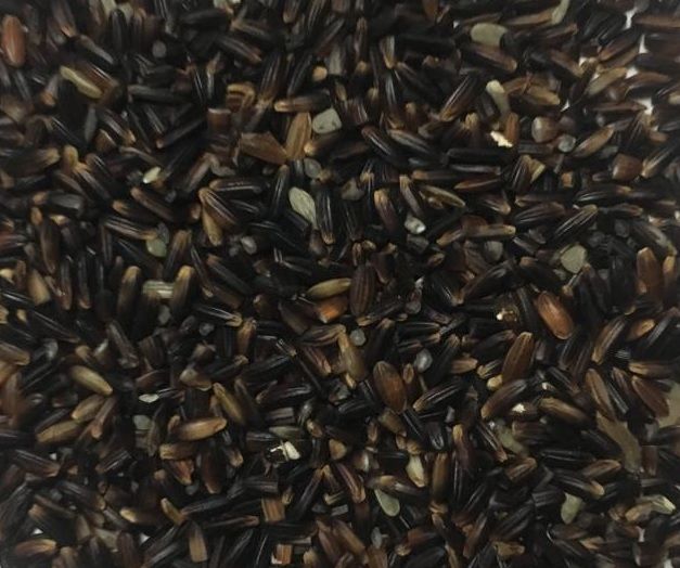 Natural black rice, for Cooking, Food, Human Consumption