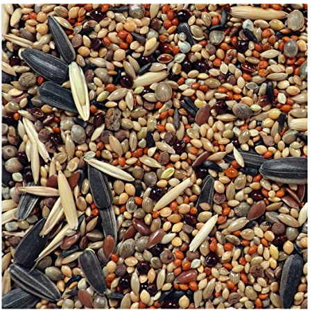 Bird Seeds Mix, Packaging Type : Loose 20 kg Bags