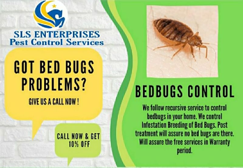 bed bug pest control