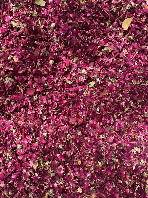 Dried rose unclean