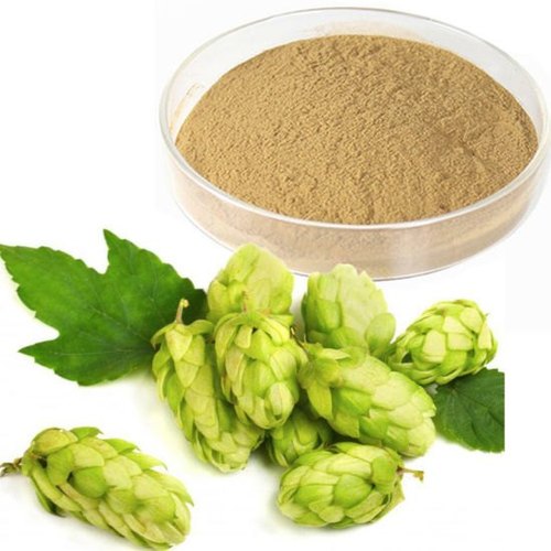 SSB Hops Extract, Packaging Type : HDPE Drum