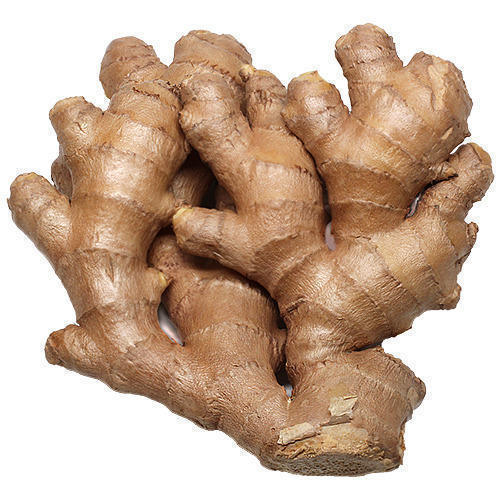 Common Fresh Ginger, Packaging Type : Gunny Bags, Color : Light Brown