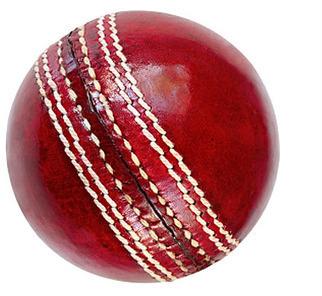 Leather Cricket Balls