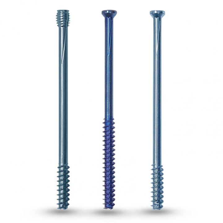 Stainless Steel 4.5 Mm Cannulated Screw, Packaging Type : Carton