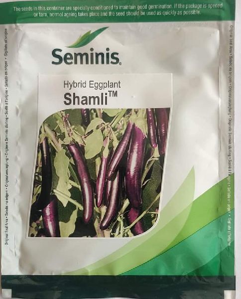 Seminis - Shamli Eggplant