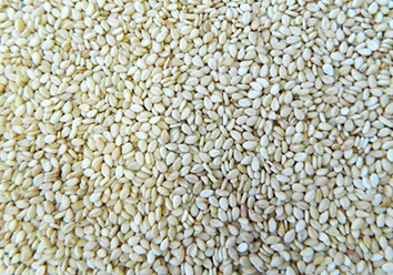 Hulled seasome seed, Purity : 99.5% Min